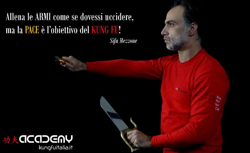 Kung Fu Academy Caserta di Sifu Salvatore Mezzone Accademia di Wing Chun e Tai Chi Quan (1)